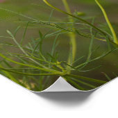 Witte Poster met Wilde Bloemen (Hoek)