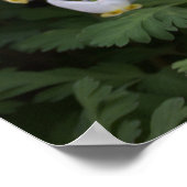 Witte Poster van wilde bloemen (Hoek)