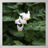 Witte Poster van wilde bloemen (Voorkant)