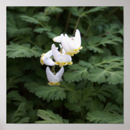 Witte Poster van wilde bloemen