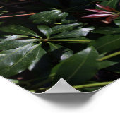 Witte Poster van wilde bloemen (Hoek)