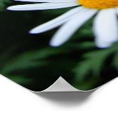 Witte Poster van wilde bloemen (Hoek)