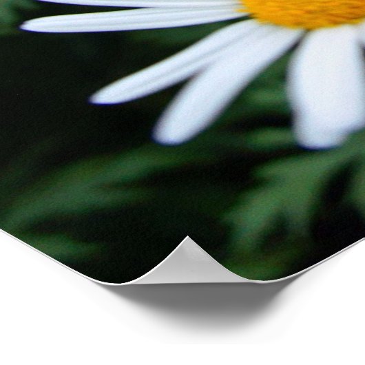 Witte Poster van wilde bloemen (Hoek)