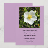 Witte Potentilla bruiloft Kaart (Voorkant / Achterkant)