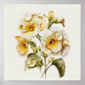 Witte Primrose Flowers Art Print Poster (Voorkant)