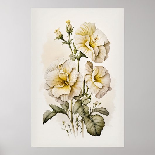 Witte Primrose Flowers Art Print Poster (Voorkant)