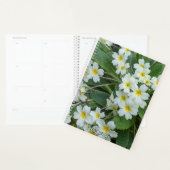 Witte primrozen met geelcenters planner (Display)
