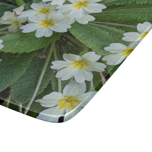 Witte primrozen met geelcenters snijplank (Hoek)