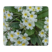 Witte primrozen met geelcenters snijplank (Voorkant)