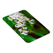 Witte prive bloemen Flexibele foto magneet (Rechterzijde)