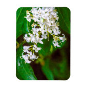 Witte prive bloemen Flexibele foto magneet (Verticaal)
