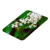 Witte prive bloemen Flexibele foto magneet (Linkerzijde)
