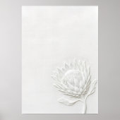 Witte Protea Botanische Lijnkunst Afdruk | Minimal Poster (Voorkant)