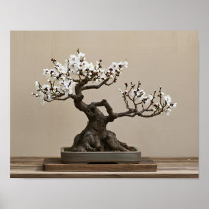 Witte pruimenbonsai-kunstprint Japanse wandkunst Poster