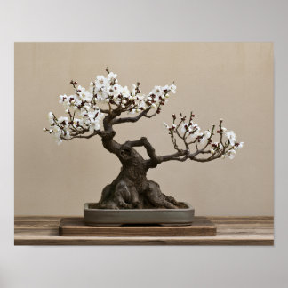 Witte pruimenbonsai-kunstprint | Japanse wandkunst Poster