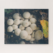 Witte puffbalpaddenstoelen tussen herfstbladeren legpuzzel (Horizontaal)