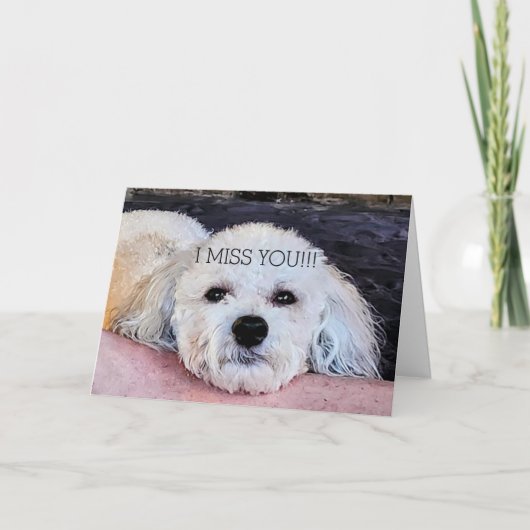 WITTE PUP MISS YOU KAART (Voorkant)