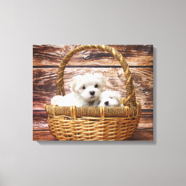 Witte Puppies in een mand Canvas Afdruk