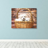 Witte Puppies in een mand Canvas Afdruk (Insitu (Houten vloer))