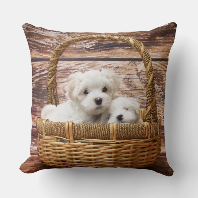 Witte Puppies in een mand Kussen (Voorkant)