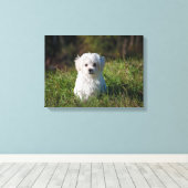Witte puppy canvas afdruk (Insitu (Houten vloer))