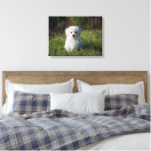 Witte puppy canvas afdruk (Insitu (Slaapkamer))
