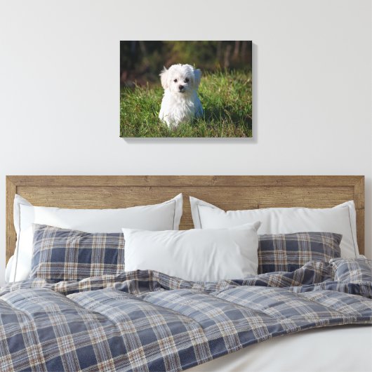 Witte puppy canvas afdruk (Insitu (Slaapkamer))