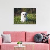 Witte puppy canvas afdruk (Insitu (Woonkamer))