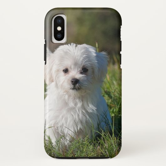 Witte puppy Case-Mate iPhone case (Achterkant)