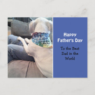 Witte puppy Dog met kleurrijk karf blauw Briefkaart