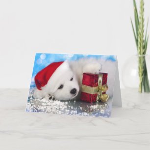 Witte puppy met een cadeau in poten feestdagen kaart