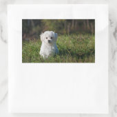 Witte puppy rechthoekige sticker (Tas)