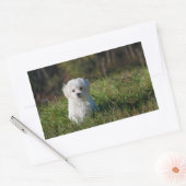 Witte puppy rechthoekige sticker (Envelop)