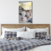 Witte Ragdoll Kat Ingepakt Canvas Afdruk (Insitu (Slaapkamer))