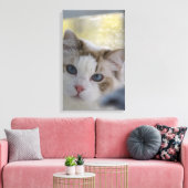 Witte Ragdoll Kat Ingepakt Canvas Afdruk (Insitu (Woonkamer))