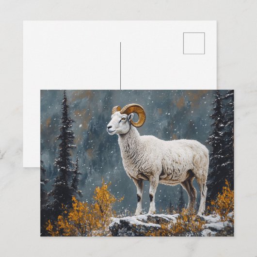 Witte Ram op de besneeuwde berg Briefkaart (Voorkant / Achterkant)