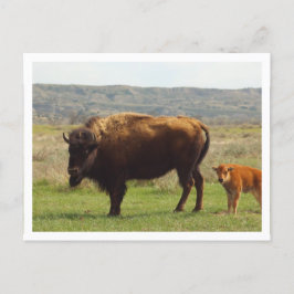 Witte rand briefkaart