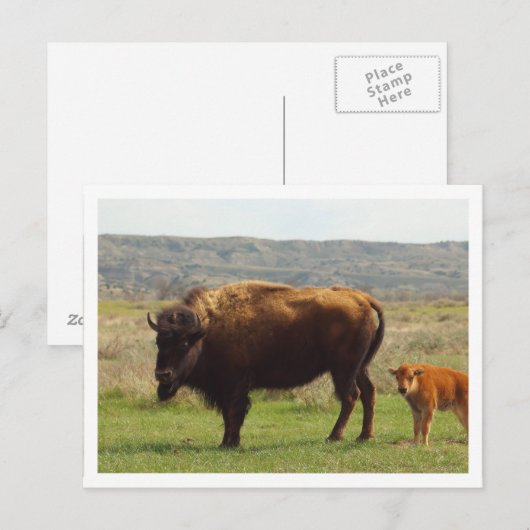 Witte rand briefkaart (Voorkant / Achterkant)