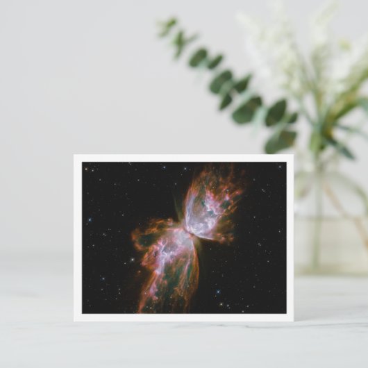 Witte rand vlindernevel briefkaart (Staand voorkant)