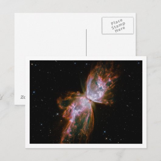 Witte rand vlindernevel briefkaart (Voorkant / Achterkant)