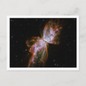 Witte rand vlindernevel briefkaart (Voorkant)