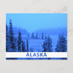 Witte rand voor uw Alaskavakantiefoto Briefkaart
