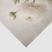 Witte Ranunculus Decoupage Papier | Vintage Sfeer (Detail)