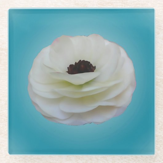 Witte Ranunculus Flower Glass Onderzetter (Voorkant)