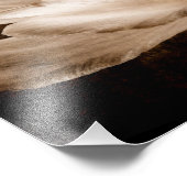 Witte Ranunculus Flower Sepia Black Achtergrond Foto Afdruk (Hoek)