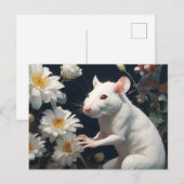 witte rat briefkaart (Voorkant / Achterkant)