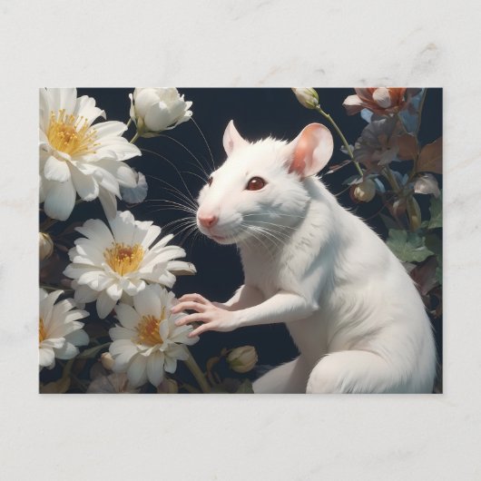 witte rat briefkaart (Voorkant)