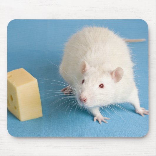 Witte rat en een stuk kaas muismat (Voorkant)