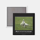 Witte Raven Magneten (Voorkant / Achterkant)