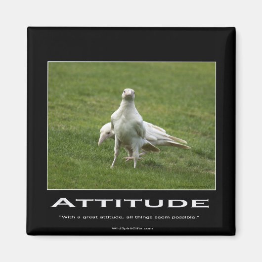 Witte Raven Magneten (Voorkant)
